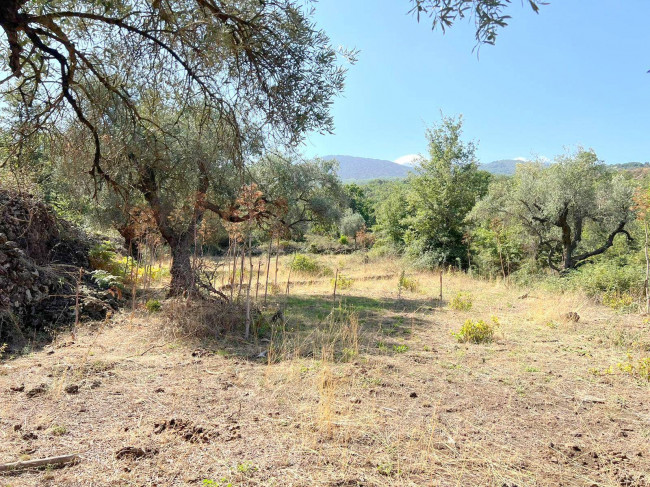 Terreno agricolo in vendita a Randazzo (CT)