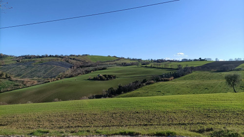 Terreno Agricolo