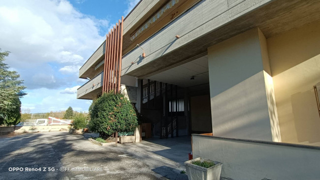 PALAZZO