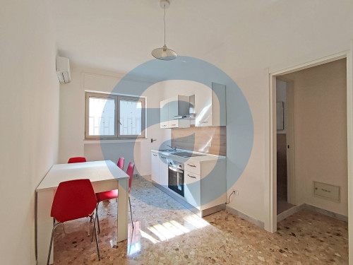 Appartamento in affitto a Sannicandro Di Bari (BA)