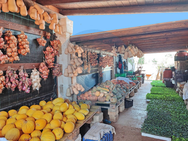 Azienda agrituristica in vendita a Savelletri, Fasano (BR)