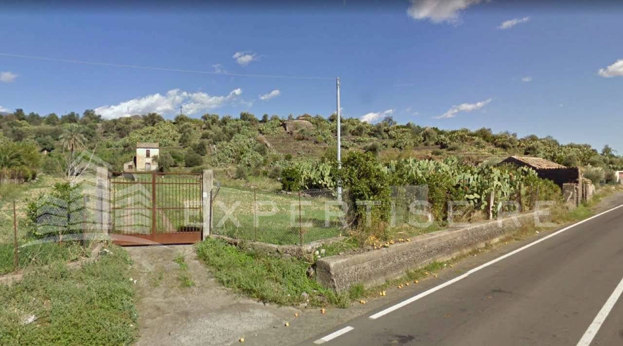 Terreno agricolo in vendita a Santa Maria Di Licodia (CT)