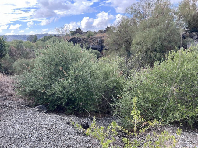 Land for sale in Belpasso (CT)