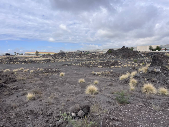 Land for sale in Belpasso (CT)