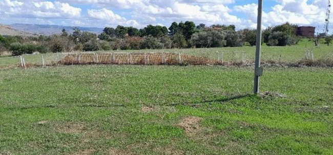Land for sale in Caltanissetta (CL)
