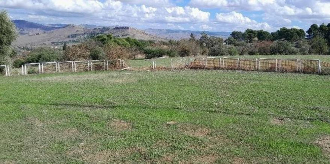 Land for sale in Caltanissetta (CL)