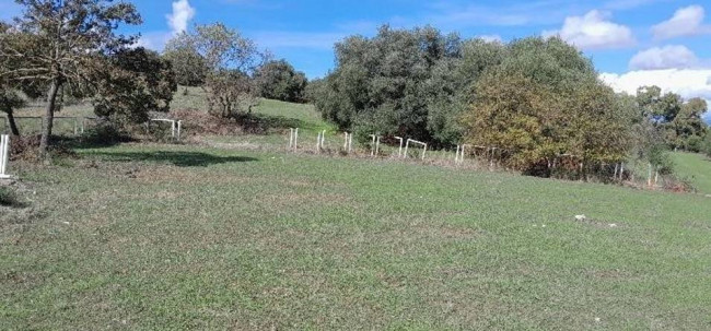 Land for sale in Caltanissetta (CL)