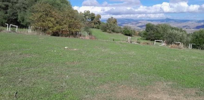 Land for sale in Caltanissetta (CL)