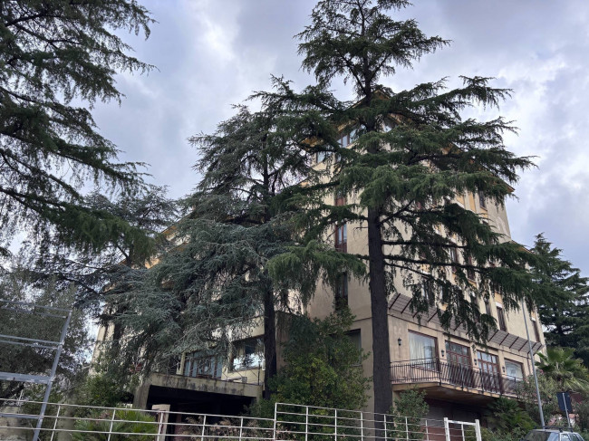Hotel in vendita a Pedara (CT)