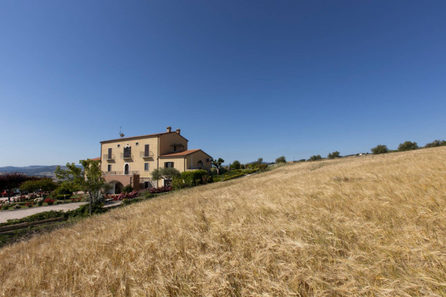 Attività commerciale in vendita a Montecilfone (CB)