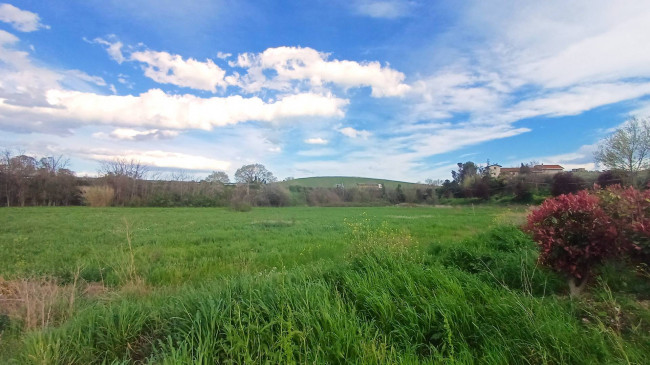 Terreno edificabile in vendita a Notaresco (TE)