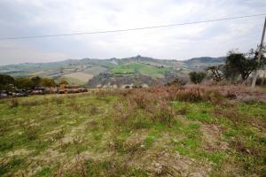 Terreno Agricolo in vendita a Monteprandone