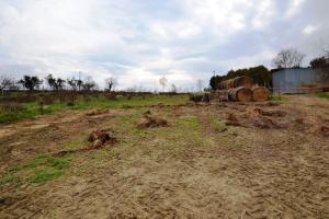 Terreno Agricolo in vendita a Monteprandone