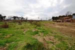 Terreno Agricolo in vendita a Monteprandone