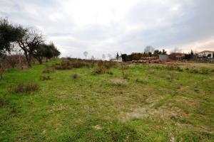 Terreno Agricolo in vendita a Monteprandone