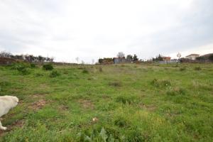 Terreno Agricolo in vendita a Monteprandone