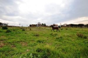 Terreno Agricolo in vendita a Monteprandone