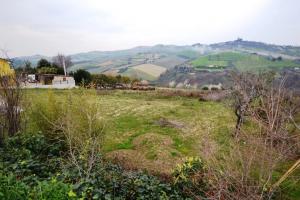 Terreno Agricolo in vendita a Monteprandone