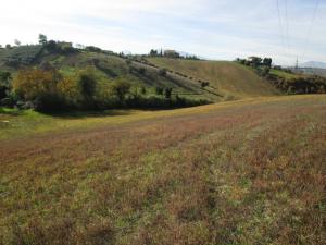 Rustico in vendita a Monsampolo del Tronto