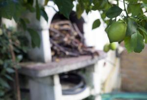 Villa in vendita a Acquaviva Picena