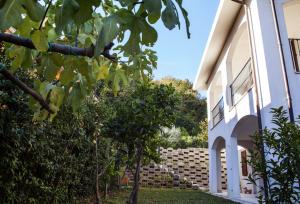 Villa in vendita a Acquaviva Picena