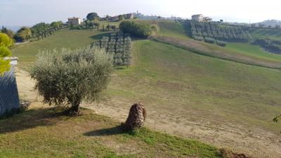 Rustico/Casale in vendita a Monsampolo del Tronto