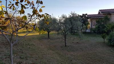 Villa in vendita a Monteprandone