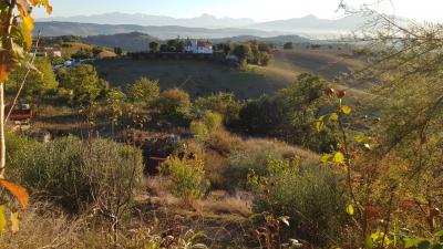 Villa in vendita a Monteprandone