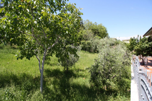Terreno edificabile in vendita a Monteprandone