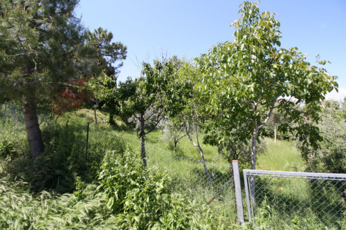 Terreno edificabile in vendita a Monteprandone