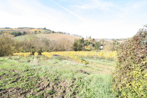 Terreno Agricolo in vendita a Ripatransone