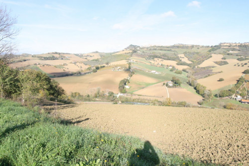 Terreno Agricolo in vendita a Ripatransone
