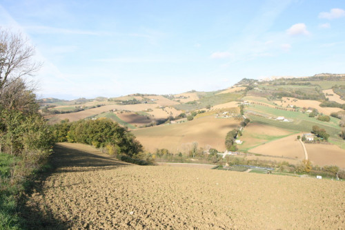 Terreno Agricolo in vendita a Ripatransone