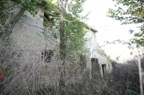 Terreno Agricolo in vendita a Ripatransone