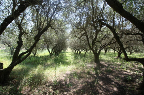 Terreno edificabile in vendita a Monteprandone
