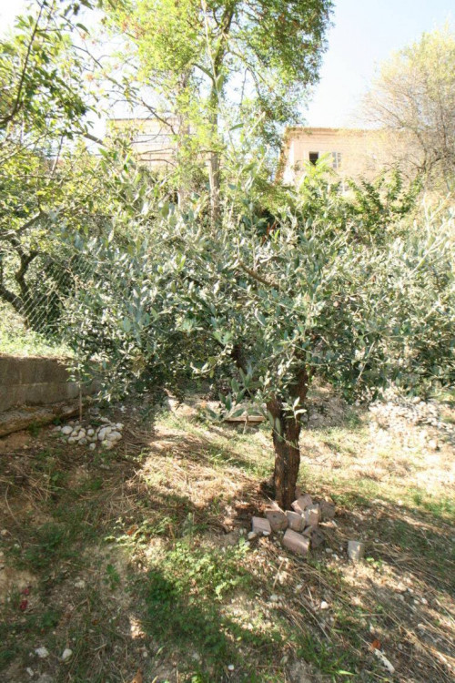 Appartamento in vendita a Montefiore dell'Aso