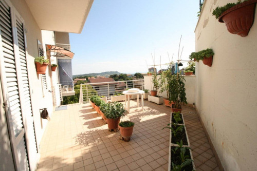 Appartamento in vendita a Montefiore dell'Aso