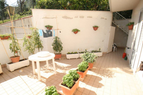 Appartamento in vendita a Montefiore dell'Aso