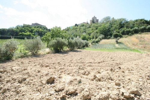 Rustico/Casale in vendita a Ripatransone