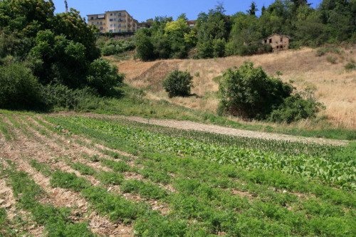 Rustico/Casale in vendita a Ripatransone