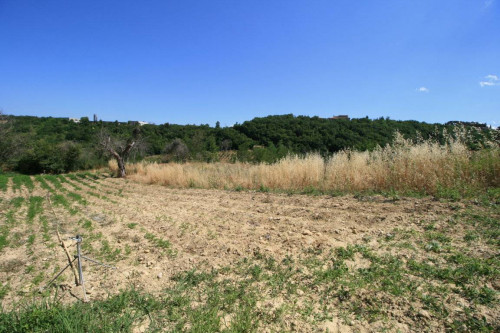 Rustico/Casale in vendita a Ripatransone