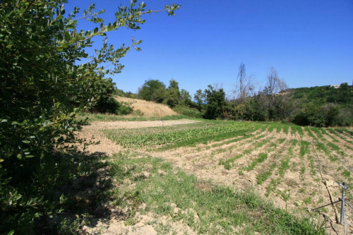 Rustico/Casale in vendita a Ripatransone