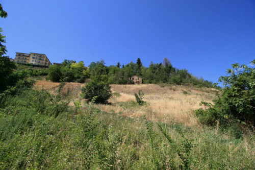 Rustico/Casale in vendita a Ripatransone