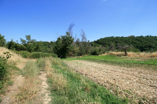 Rustico/Casale in vendita a Ripatransone