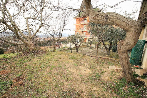 Appartamento in vendita a Montefiore dell'Aso