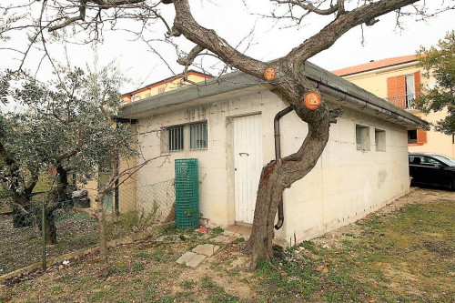 Appartamento in vendita a Montefiore dell'Aso