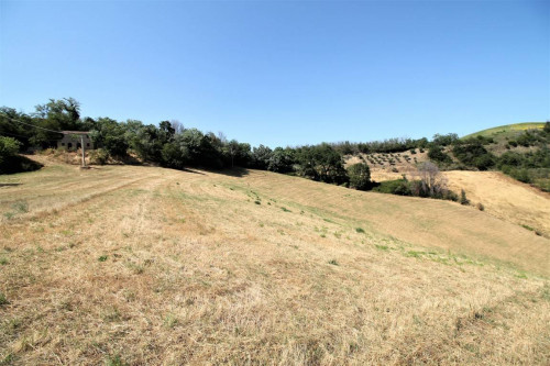 Rustico/Casale in vendita a Carassai