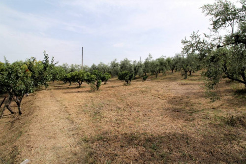 Casa Cielo Terra in vendita a Cossignano