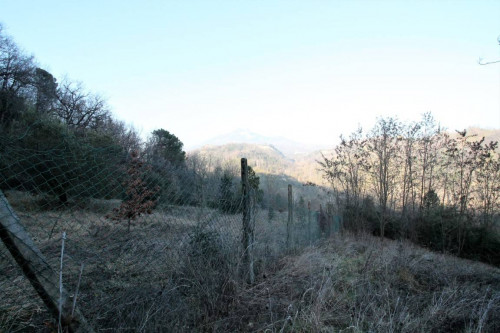 Casa indipendente in vendita a Venarotta