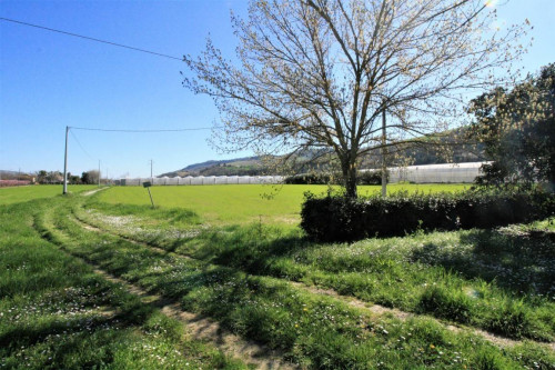 Casa indipendente in vendita a Montefiore dell'Aso